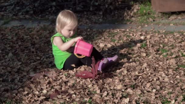 Cute dziewczynka gra z liści jesienią — Wideo stockowe