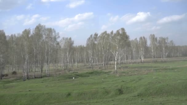 Siberische lente landschap — Stockvideo