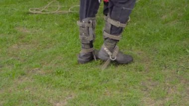 Arborist birch için yükselir