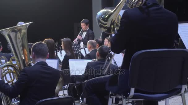 Филармонический оркестр — стоковое видео