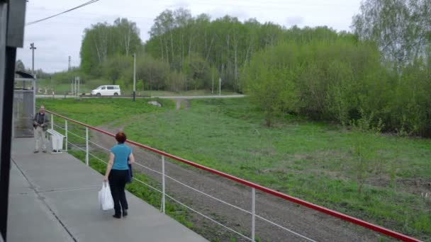 Siberia primavera paisaje — Vídeo de stock