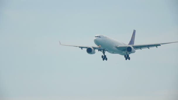 Flygplan Airbus 330 landning — Stockvideo