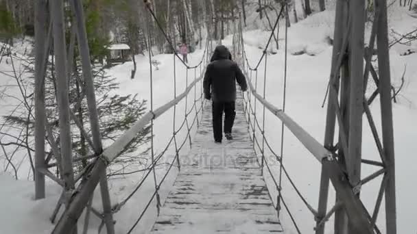 Ponte de suspensão de cabo — Vídeo de Stock