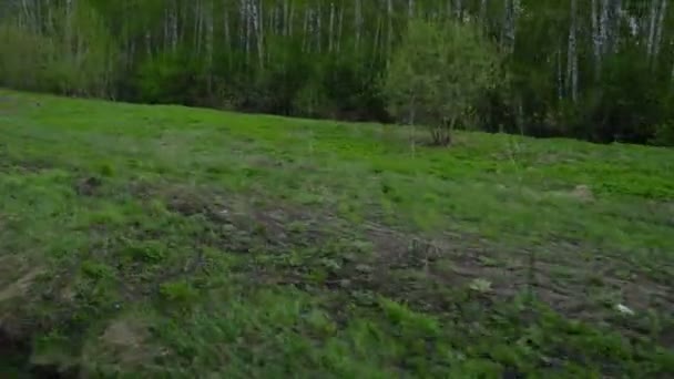 Siberia primavera paisaje — Vídeo de stock