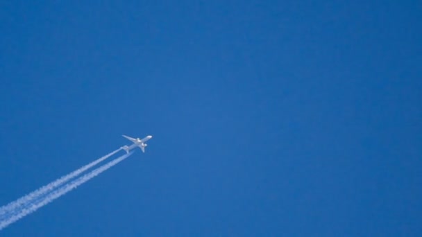 高空を飛ぶ航空会社 — ストック動画