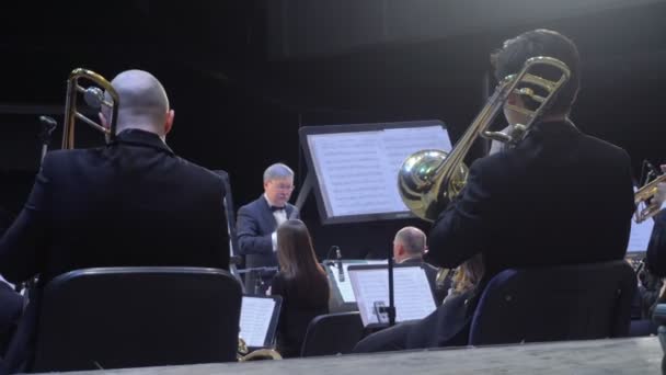 Concert van het Philarmonic Orchestra — Stockvideo