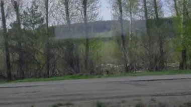 Novosibirsk banliyösünde