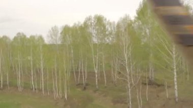 Sibirya bahar manzara