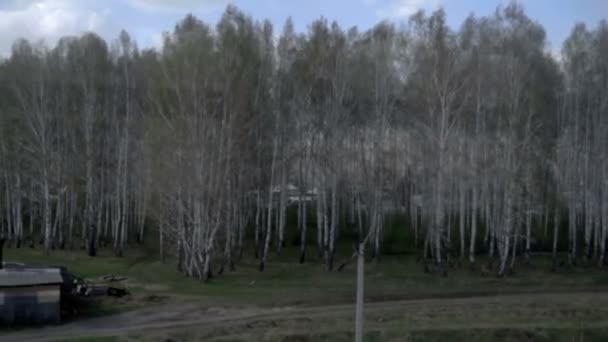 Siberische lente landschap — Stockvideo