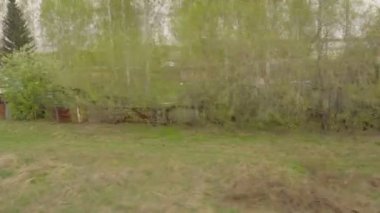 Sibirya bahar manzara