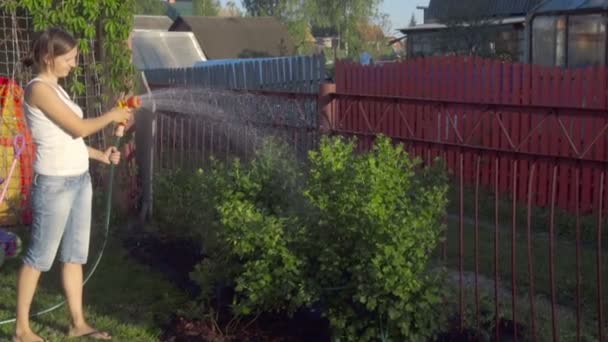 Woman watering the lawn — Stock Video