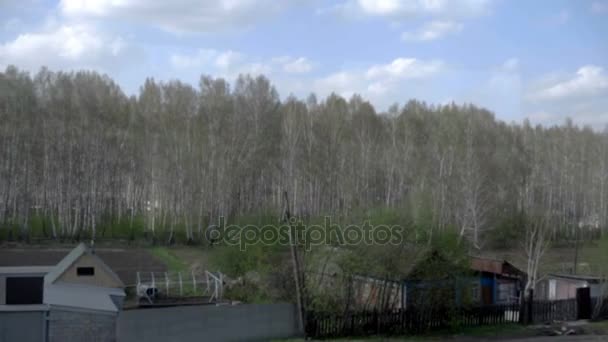 Paesaggio primaverile siberiano — Video Stock