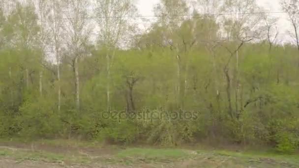 Siberia primavera paisaje — Vídeo de stock