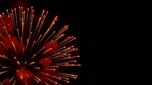 Fogos de artifício piscando à noite — Vídeo de Stock