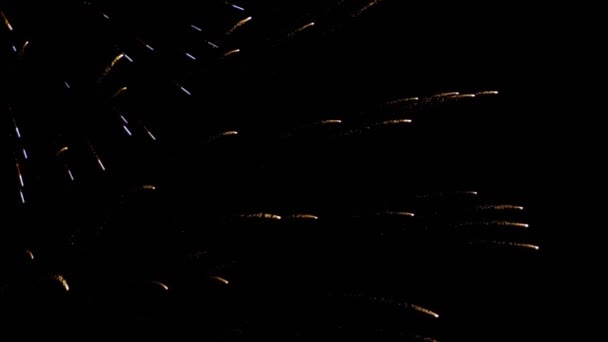 Vuurwerk knippert in de avond — Stockvideo