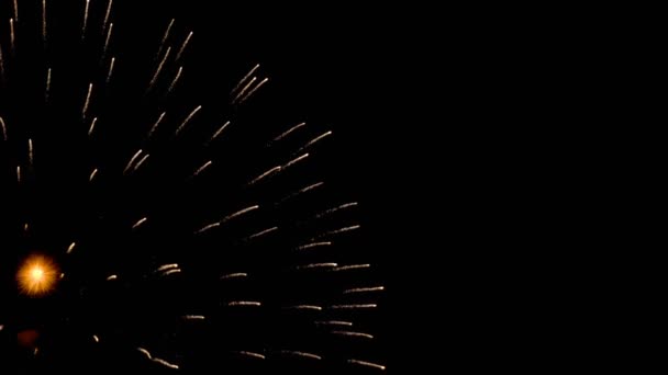 Fuegos artificiales parpadeando por la noche — Vídeos de Stock