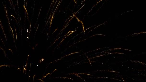 闪烁在晚上的烟花 — 图库视频影像