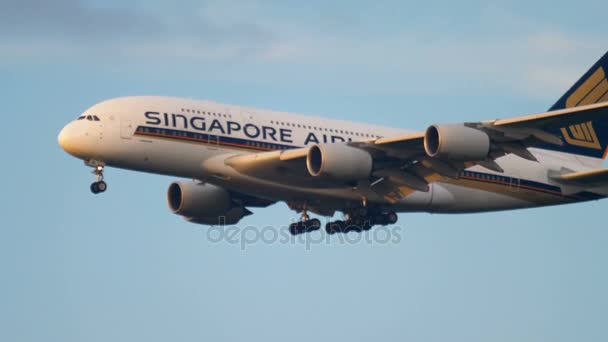 Singapore Airlines Superjumbo közeledik — Stock videók