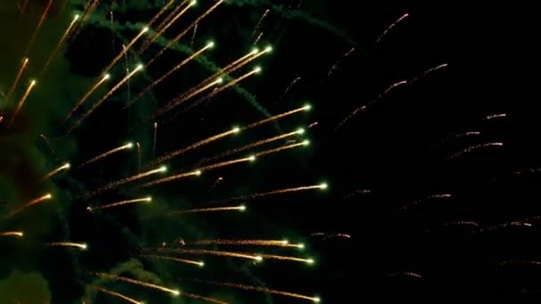 Fuochi d'artificio lampeggianti la sera — Video Stock