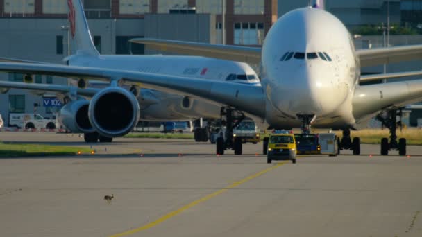 Traffico aeroportuale di Francoforte. Lepre sul rullaggio — Video Stock