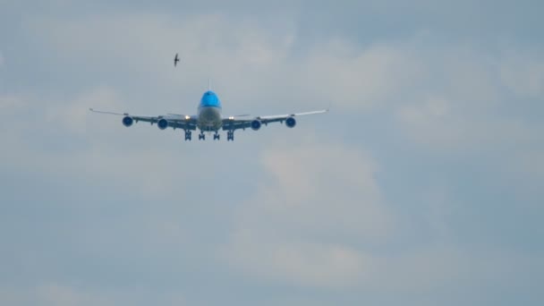 KLM Boeing 747 landing — Stockvideo
