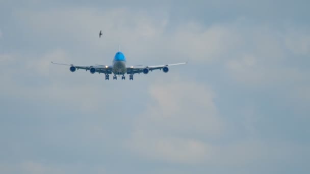 KLM Boeing 747 landning — Stockvideo