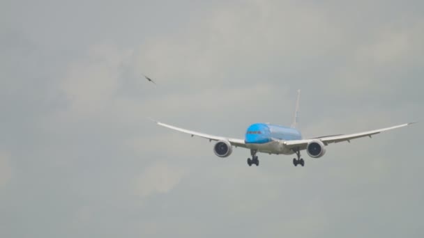 KLM Dreamliner landning — Stockvideo