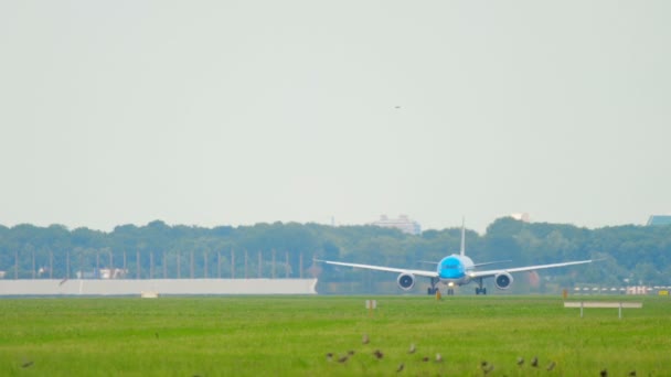 Klm boing 787 Dreamliner beschleunigen vor Abflug — Stockvideo