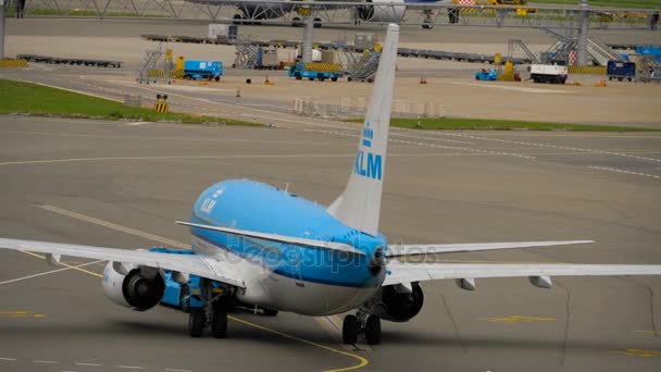 KLM Boeing 737 çekme — Stok video