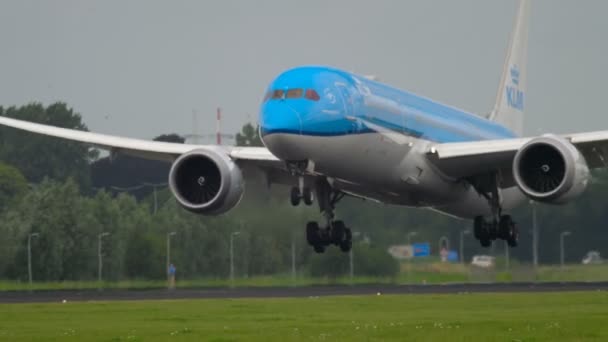 Atterraggio KLM Dreamliner — Video Stock