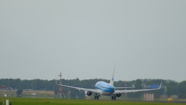 KLM Boeing 737 versnellen en opstijgen — Stockvideo