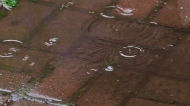 Yaz yağmur yağmur damlaları