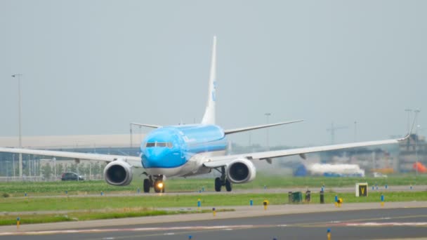 KLM Boeing 737 taxning före avgång — Stockvideo