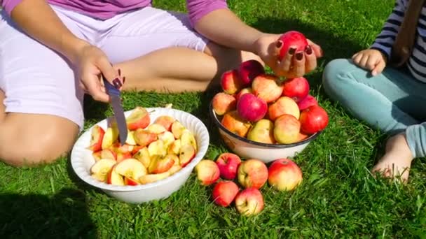 Femme coupe des pommes pour la confiture — Video