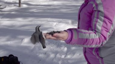 Kuşlar kadın elinde tohum yiyin