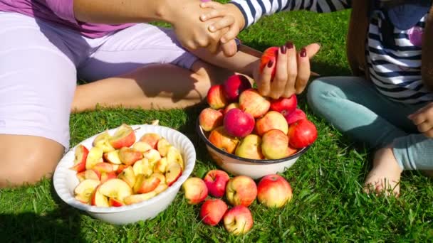 Mulher corta maçãs de engarrafamento — Vídeo de Stock