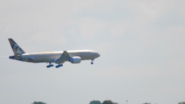 Großraumflugzeug im Landeanflug — Stockvideo