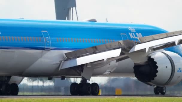 KLM Dreamliner inişi — Stok video