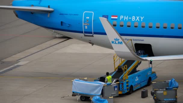Încărcarea bagajelor la bordul aeronavei — Videoclip de stoc