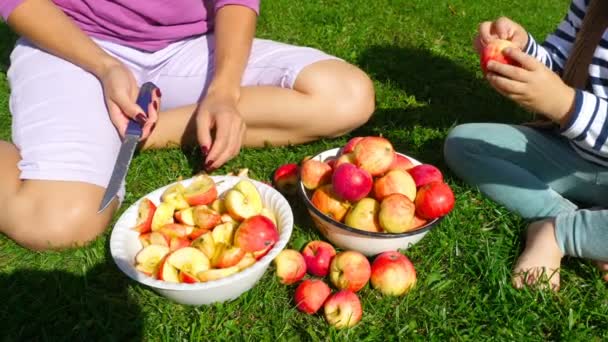 Frau schneidet Äpfel für Marmelade — Stockvideo