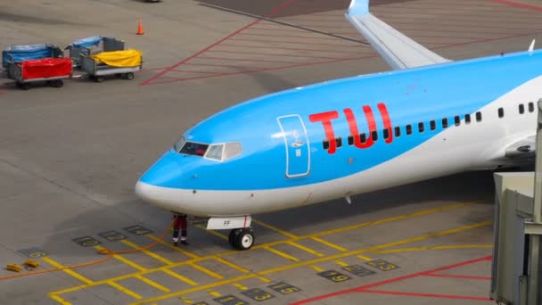 Tui 飞波音 737 滑行结束 — 图库视频影像
