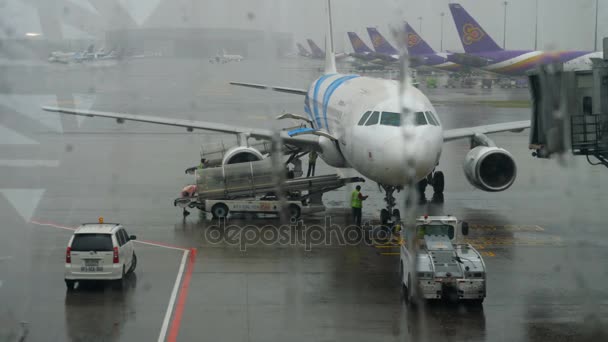 Airbus 320 na usługi w Suvarnabhumi airport — Wideo stockowe