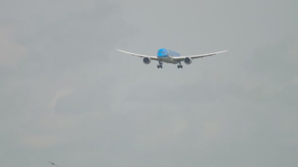 KLM Dreamliner landning — Stockvideo