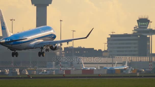 KLM Cityhopper Embraer Erj-175 πλησιάζει — Αρχείο Βίντεο