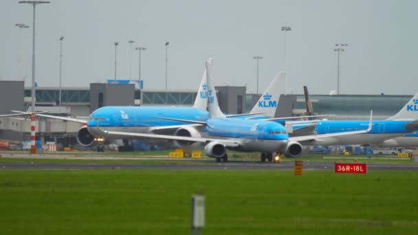 Flugzeuge königlicher holländischer Fluggesellschaften klm — Stockvideo