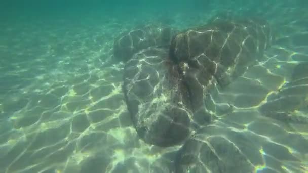 Underwater sunlight pattern — Stock Video