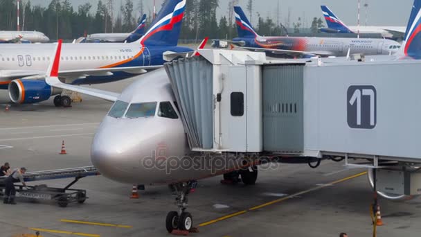 Αεροπλάνα της Aeroflot στην ποδιά της Αεροδρόμιο Σερεμέτγιεβο — Αρχείο Βίντεο