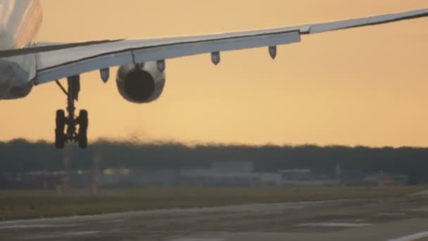 Avión aterrizando temprano en la mañana — Vídeo de stock