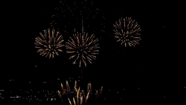 Fuochi d'artificio lampeggianti la sera — Video Stock