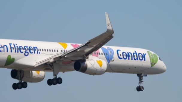 Condor Boeing 757 lądowania — Wideo stockowe